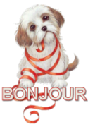 dogbonjour